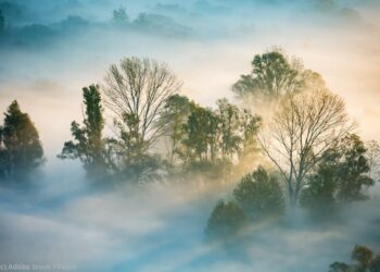 Nebel in Poebene